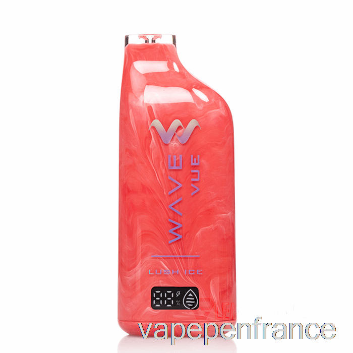 Stylo Jetable De Vape De Glace Luxuriante De Wave Vue 10000